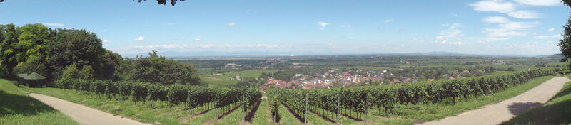 Panorama