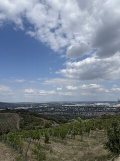 Foto da Olena Duriagina lungo il tour