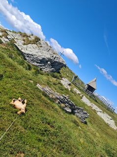 Fotografija s spletne strani Sonja Stockreiter na poti