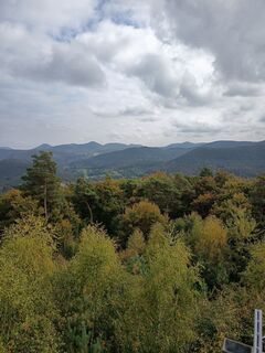 Fotografia z SvenScherer7 na trase