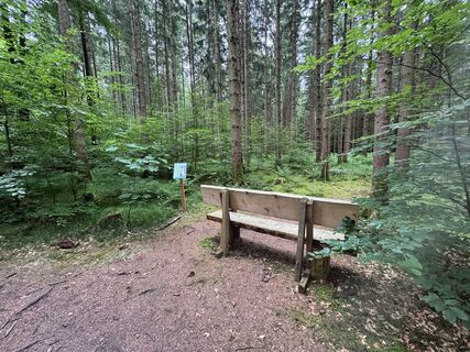 Foto von Johannes H entlang der Tour
