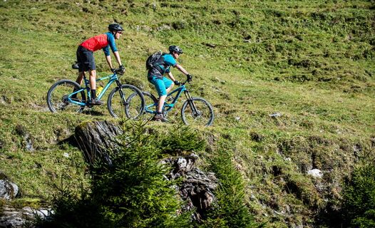 Einfache Singletrails triffst du auf dieser Tour an.