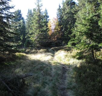 Weinebene - Weberkogel