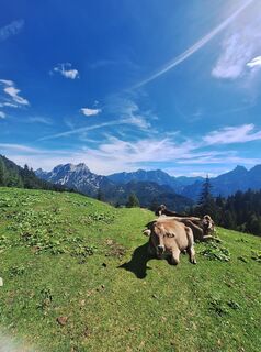 Foto von Lohneckerp entlang der Tour