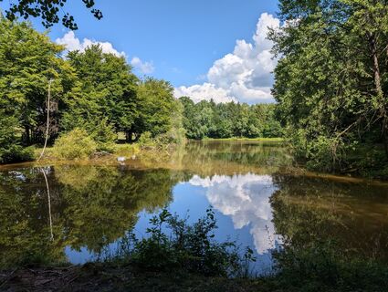 Fotografija s spletne strani Alfons Westbomke 1 na poti