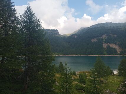 Fotografija s spletne strani mtmc na poti