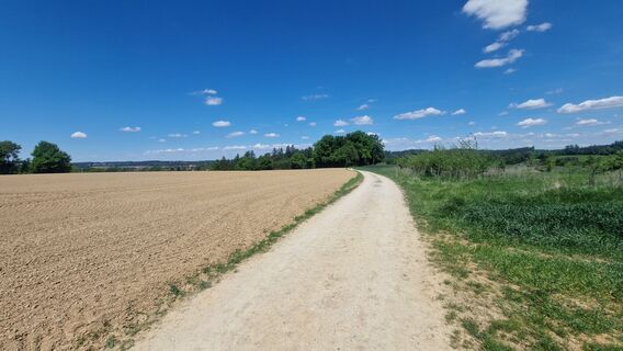 Fotografia z Ritsch na trase