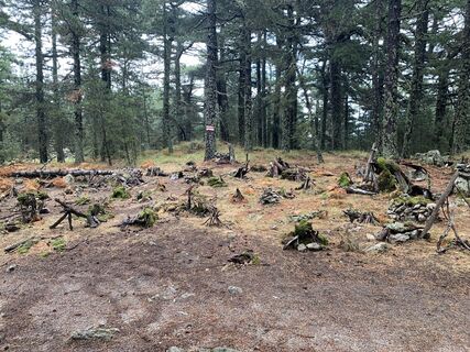 Fotografia z Jako Koel na trase