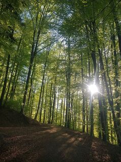 Foto von Simon Brummer entlang der Tour