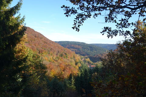 Bad Grund - vom Weltwald Richtung Iberg