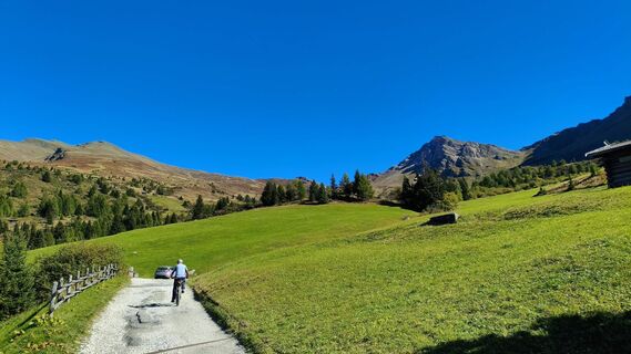 Foto von walrei entlang der Tour