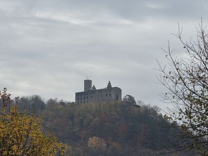 Foto da Norbert Herbig lungo il tour