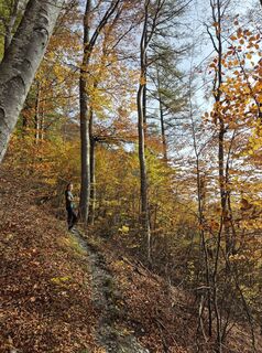 Fotografija s spletne strani alinradu na poti