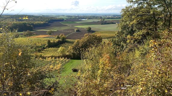 Foto von Manfred Wieder entlang der Tour