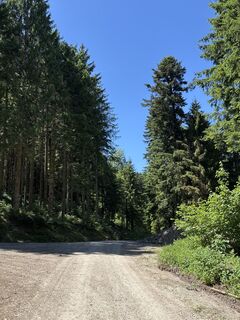 Foto von Heinz Sperl entlang der Tour