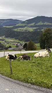 Foto von Jutta Steinberger entlang der Tour