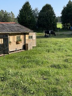 Fotografia z Robert Rettig na trase