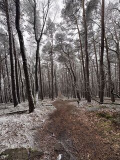 Foto von Felix Rietz entlang der Tour