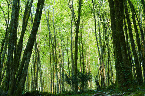 OT Vallée Vézère 2