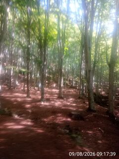 Foto de ale civ a lo largo del recorrido
