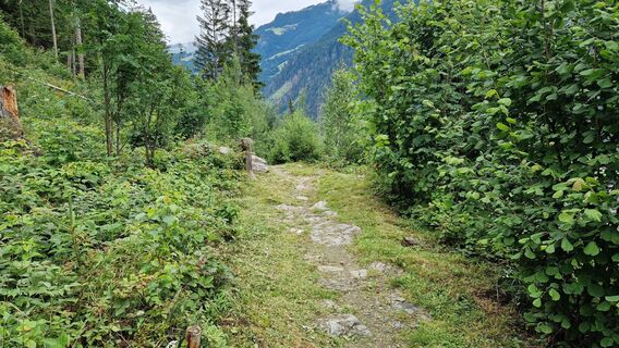 Foto von Gerrit van der Linde entlang der Tour
