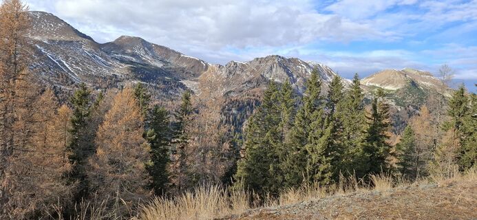 Fotografia z Daniel Böhm na trase