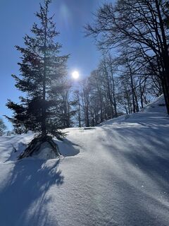 Kuva osoitteesta Edith Gahbauer matkan varrella