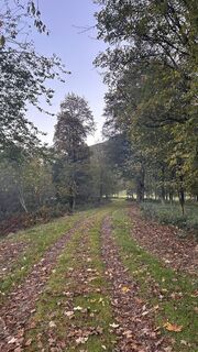 Fotografija s spletne strani Dominique Vlach na poti