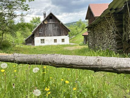 Foto van Dani Geiger / Natur_erleben_dg langs de tour