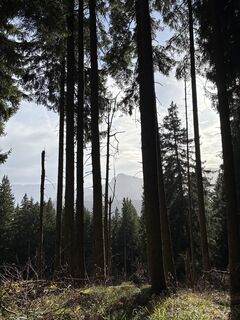 Fotografie z Heinz Sperl na trase