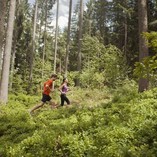Idyllische Laufrunde im Wald