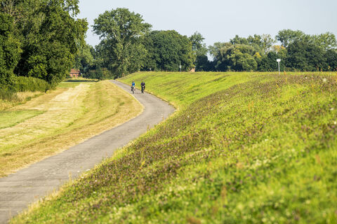 Elberadweg in der Gemeinde Amt Neuhaus