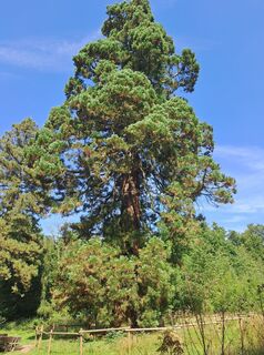 Fotografia z Gerd Stüwe na trase