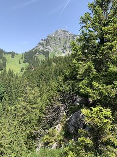 Foto von Wilhelm Böning entlang der Tour