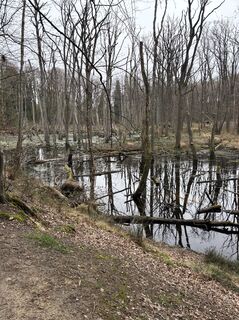 Photo de Elke Lingens le long du parcours