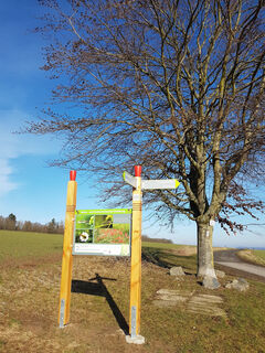Natur und Kulturlehrpfad Holzburg