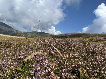 Fotografija s spletne strani Maria Funder na poti