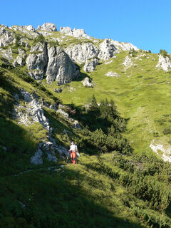 Salendo al monte Chiadin