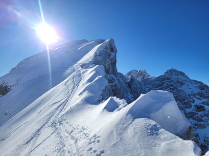 Photo de schenkeli le long du parcours