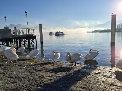 Fotografie z Maurer Silvia na trase