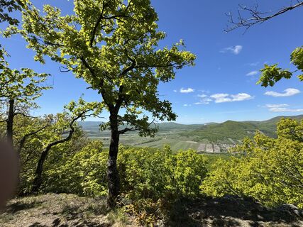 Foto von Lexa entlang der Tour