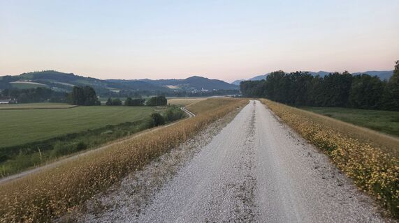 Photo de Fischer80 le long du parcours