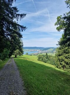Foto de René Jnglin a lo largo del recorrido