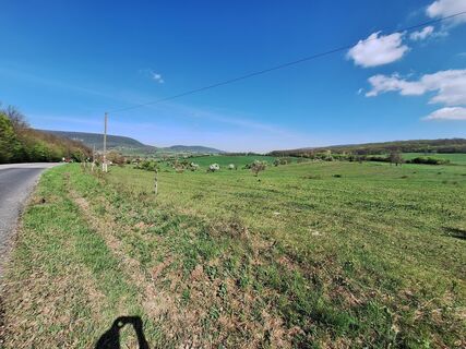 Foto von Márk Erdei entlang der Tour