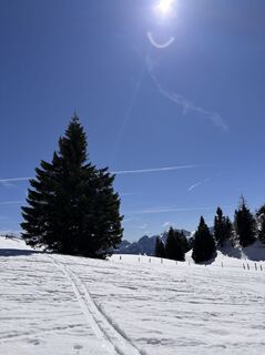 Foto von Heinz Sperl entlang der Tour