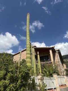 Foto von Grizzli entlang der Tour