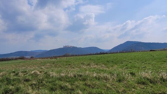 Fotografia z Romana Klemmer-Wurzer na trase