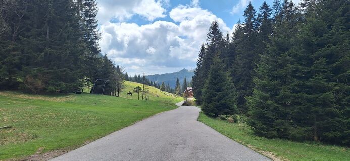 Fotografia z Hallunke Frank na trase