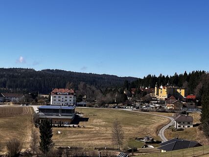 Fotografija s spletne strani Alfred Weber na poti
