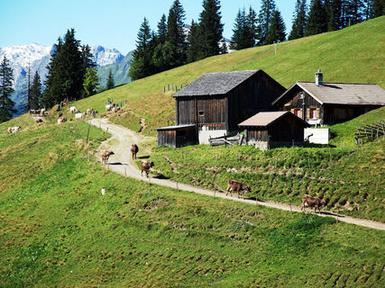 Alp Wiesli